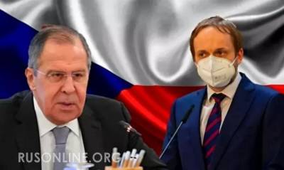 Гладко стелят: Обращение чешского политика к России обернулось скандалом - rusonline.org - Россия - Чехия