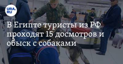 В Египте туристы из РФ проходят 15 досмотров и обыск с собаками - ura.news - Россия - Египет