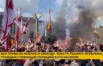 Власти Литвы обвиняют своих граждан в расколе общества и решении захватить власть - grodnonews.by - Белоруссия - Литва - Вильнюс