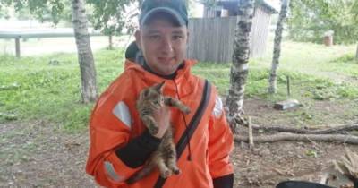 В МЧС Приамурья приютили собаку и котенка, спасенных после паводка - ren.tv
