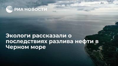 Николай Шульгинов - Сотрудник РАН Сапожников: животные в Черном море могут пострадают от разлива нефтепродуктов - ria.ru - Москва - Россия - Черное Море