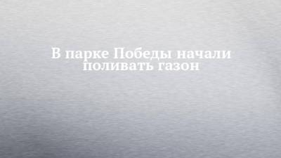 В парке Победы начали поливать газон - chelny-izvest.ru