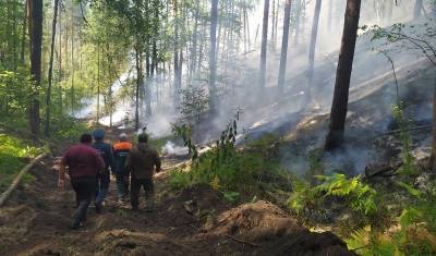 Площадь лесных пожаров в Башкирии уменьшилась еще на 1,2 тысячи гектаров - mkset.ru - Башкирия