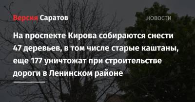 На проспекте Кирова собираются снести 47 деревьев, в том числе старые каштаны, еще 177 уничтожат при строительстве дороги в Ленинском районе - nversia.ru - Саратов - район Ленинский