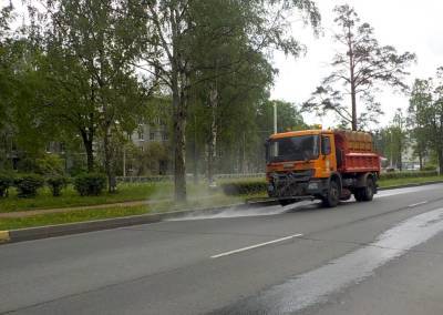 Миллион кубометров воды вылили на дороги Петербурга этим летом - neva.today - Санкт-Петербург - Благоустройство