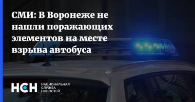 СМИ: В Воронеже не нашли поражающих элементов на месте взрыва автобуса - nsn.fm - Воронеж