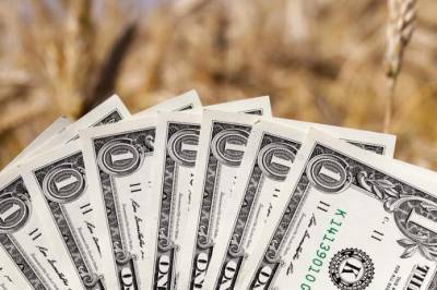 Мнение: Экспорт зерна поддержит стабильность курса гривни - agroportal.ua - Украина