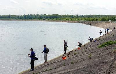 Лучшие рыболовы-спортсмены области соберутся на Матырском водохранилище - lipetskmedia.ru - Липецкая обл.