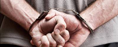 В Республике Алтай задержали похитителя 12-летней девочки из Бийска - runews24.ru - Россия - Алтайский край - респ. Алтай - Бийск - район Онгудайский