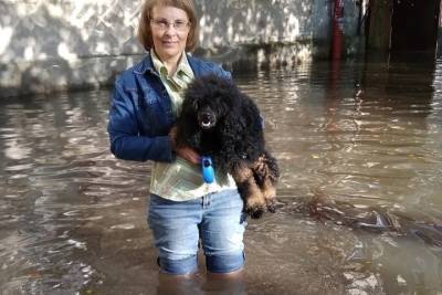 «Уровень воды выше колена!»: новгородка благодарит мэрию за потоп во дворе - mk.ru - Новгородская обл. - Великий Новгород