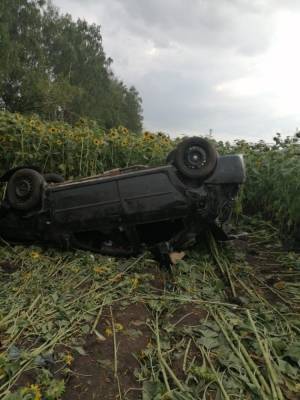 Смерть в подсолнухах. Renault перевернулся на трассе в Липецкой области - lipetskmedia.ru - Липецкая обл.