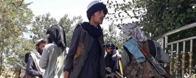Жозеп Боррель - Евросоюз призывает талибов прекратить наступление и начать переговоры - runews24.ru - Россия
