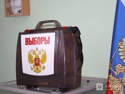 Почти половина опрошенных нижегородцев намерена голосовать на выборах дистанционно - vgoroden.ru