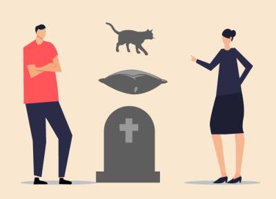 Кота, подушку и место на кладбище: что делят пары после разрыва - pravo.ru