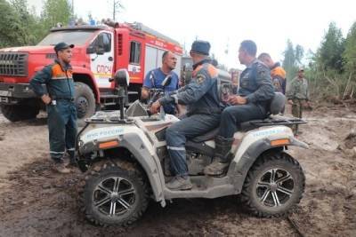 Дождь способствует тушению пожара на юге Нижегородской области - nn.mk.ru - Россия - Нижегородская обл. - Нижний Новгород - район Вознесенский