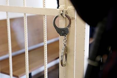Суд отправил в колонию магнитогорца, выбросившего собаку из окна - znak.com - Россия - Челябинская обл. - Магнитогорск