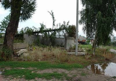 В Ермишинском районе ураган поломал деревья и оставил дома без электричества - ya62.ru