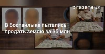 В Бостанлыке пытались продать землю за $5 млн - gazeta.uz - Узбекистан