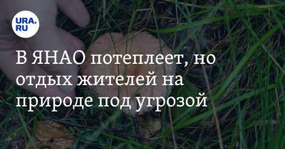 В ЯНАО потеплеет, но отдых жителей на природе под угрозой - ura.news - Россия - окр. Янао