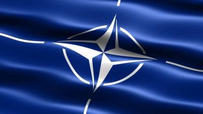 В США оценили шансы Прибалтики в случае предполагаемого конфликта с Москвой - 5-tv.ru - Москва - Россия - США