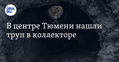 В центре Тюмени нашли труп в коллекторе - ura.news - Тюмень