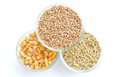 Украина отправила на экспорт 4,6 млн зерна - agroportal.ua - Украина