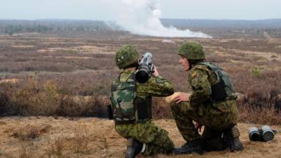 Низкая боеспособность прибалтийских армий вызвала недоумение в США - inforeactor.ru - Россия - США - Эстония - Литва - Латвия