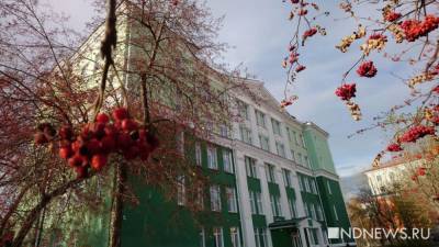 После перестрелки в гимназии Казани на защиту свердловских школ потратили полтора миллиарда рублей - newdaynews.ru - Казань - Свердловская обл. - с. 1 Сентября