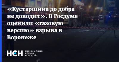 «Кустарщина до добра не доводит». В Госдуме оценили «газовую версию» взрыва в Воронеже - nsn.fm - Воронеж