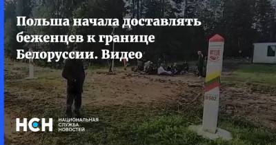 Польша начала доставлять беженцев к границе Белоруссии. Видео - nsn.fm - Белоруссия - Польша - Литва