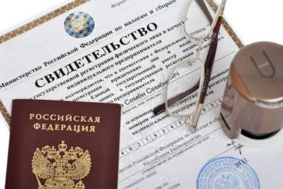 За полгода в Новосибирской области зарегистрировали 9300 ИП - runews24.ru - Новосибирская обл.