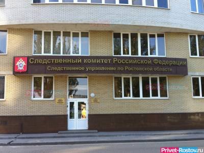 Уголовное дело возбудил СК по факту массового отравления воспитанников детского сада в Батайске - privet-rostov.ru - Батайск