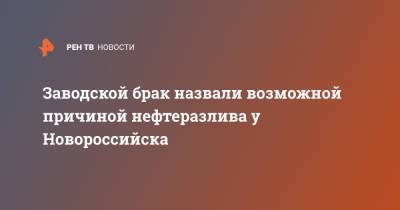 Заводской брак назвали возможной причиной нефтеразлива у Новороссийска - ren.tv - Новороссийск - Новороссийск