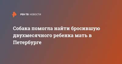 Собака помогла найти бросившую двухмесячного ребенка мать в Петербурге - ren.tv - Санкт-Петербург