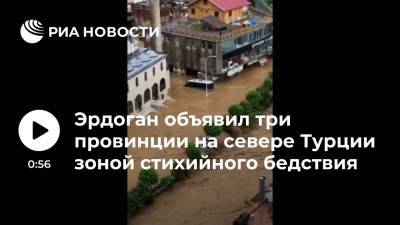 Тайип Эрдоган - Президент Турции Эрдоган объявил три провинции на севере Турции зоной стихийного бедствия - ria.ru - Турция - Анкара