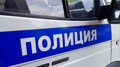 Жительница Петербурга организовала похищение 25-летнего сына у его сожительницы - runews24.ru - Санкт-Петербург