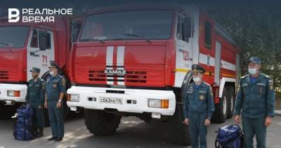 Татарстанских пожарных направили в Мордовию для тушения пожара в природном заповеднике - realnoevremya.ru - Россия - респ. Татарстан - республика Мордовия