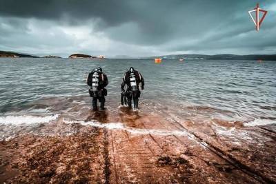 В акватории Кольского залива водолазы Росгвардии Мурманской области провели практические занятия - murmansk.mk.ru - Мурманская обл.