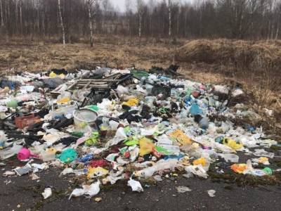 56 кубов мусора. В Смоленской области ликвидировали стихийную свалку - rabochy-put.ru - Смоленская обл. - район Кардымовский