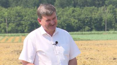 «Локальные дожди ситуацию не улучшили». Эксперт рассказал о засухе в Воронежской области - vestivrn.ru - Россия - Воронежская обл.