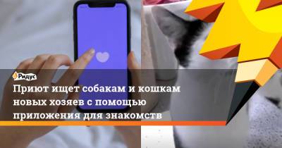 Приют ищет собакам и кошкам новых хозяев с помощью приложения для знакомств - ridus.ru - Германия