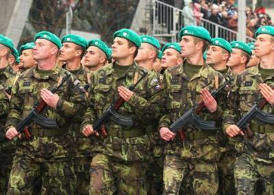 Андрей Таран - В параде ко Дню независимости примут участие военные из Чехии, Польши и Словакии - sharij.net - Украина - Киев - Польша - Чехия - Словакия - Прага