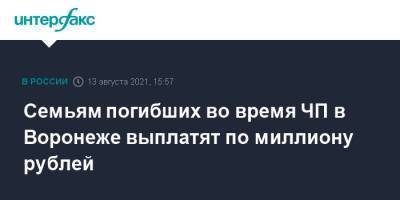 Александр Гусев - Семьям погибших во время ЧП в Воронеже выплатят по миллиону рублей - interfax.ru - Москва - Воронеж - Воронежская обл.