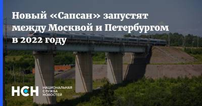 Новый «Сапсан» запустят между Москвой и Петербургом в 2022 году - nsn.fm - Москва - Санкт-Петербург - Санкт-Петербург