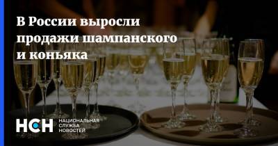 В России выросли продажи шампанского и коньяка - nsn.fm - Россия