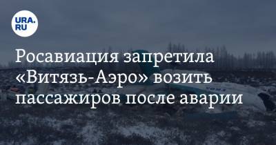 Росавиация запретила «Витязь-Аэро» возить пассажиров после аварии - ura.news - Россия