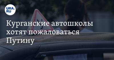 Владимир Путин - Курганские автошколы хотят пожаловаться Путину. Из-за новых правил водители проваливают экзамены - ura.news - Россия - Курганская обл.