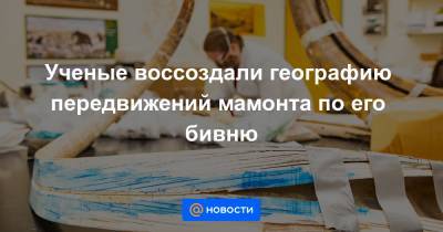 Ученые воссоздали географию передвижений мамонта по его бивню - news.mail.ru - шт.Аляска