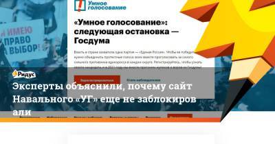Алексей Навальный - Сергей Михеев - Эксперты объяснили, почему сайт Навального «УГ» еще незаблокировали - ridus.ru