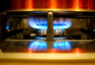 В Ленобласти заявки на бесплатное доведение газа до участка подали владельцы более 540 домов - online47.ru - Россия - Ленинградская обл.